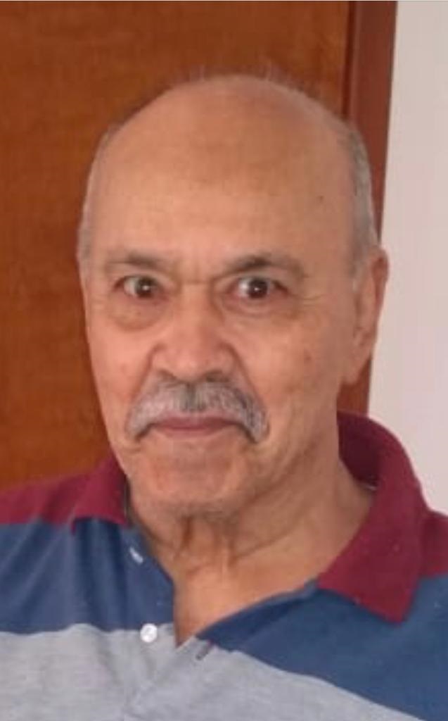 HAMILTON ALVES DE MELO