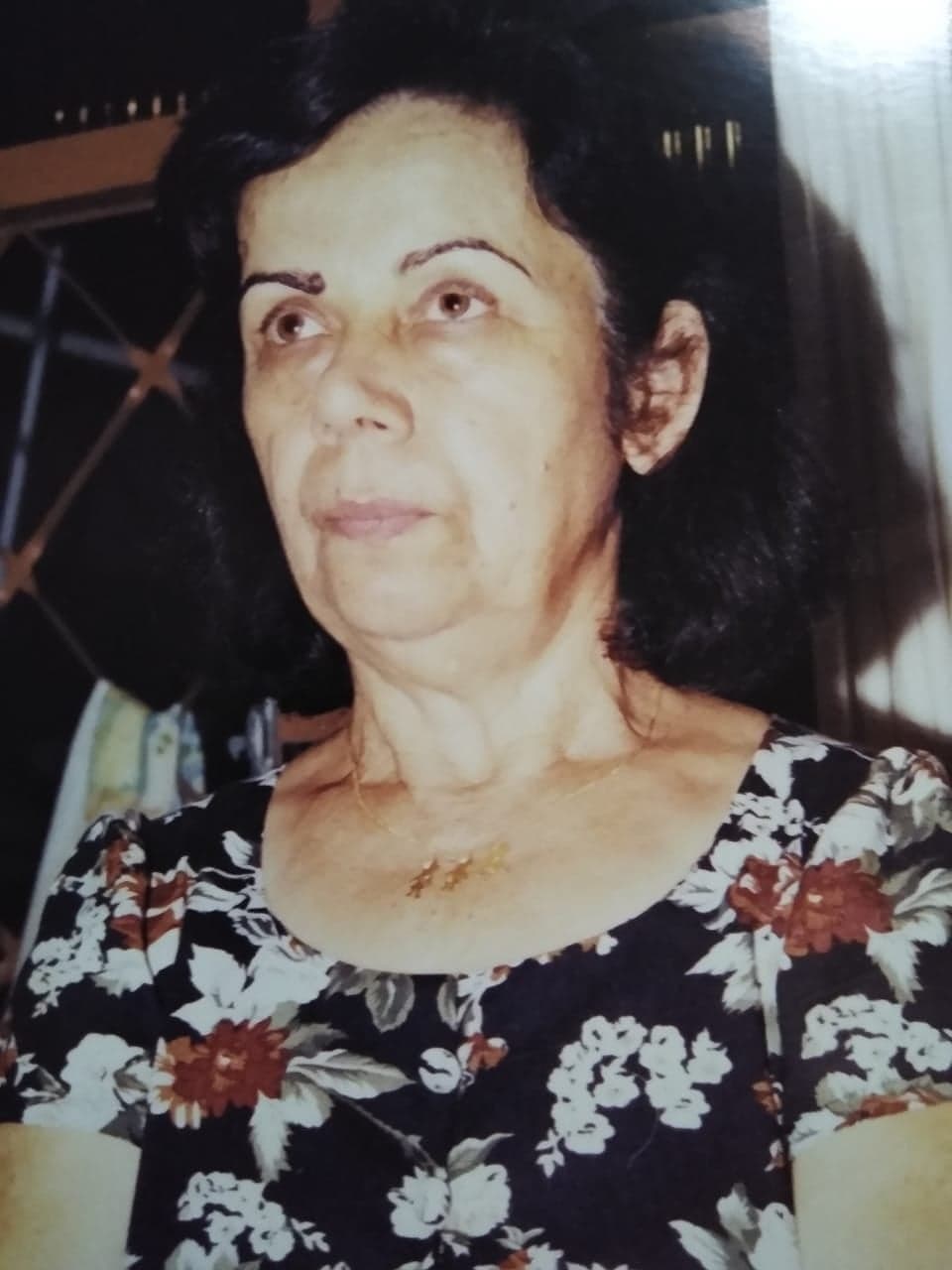 APARECIDA GOULART CARRIJO